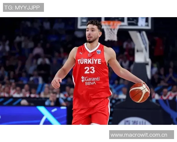 历史首次中锋对决约基奇与申京同场砍下30三双精彩瞬间回顾